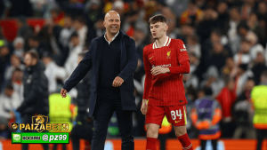 หงส์แดง